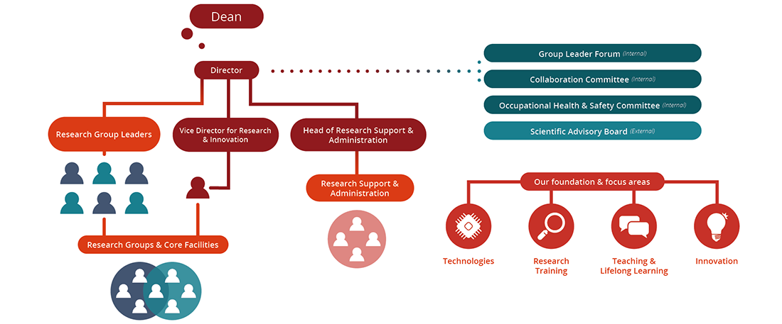 Organisation structure