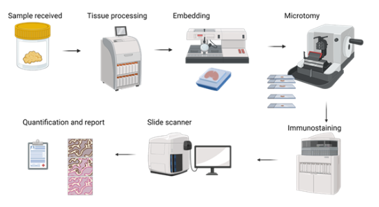 Illustration of the above explained workflow. 