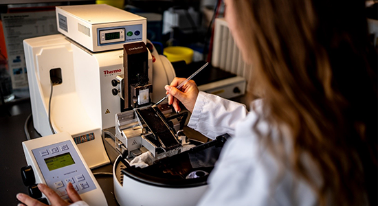 Micritomes Core facilities