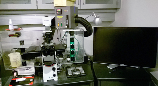 Delta Vision Elite Microscope Delta Vision Elite Microscope