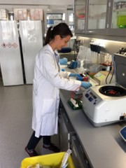 First Western Blot in the lab (Irene; September 2016)