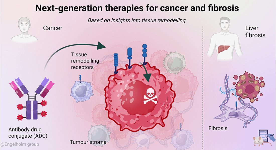 Engelholm Group Overview