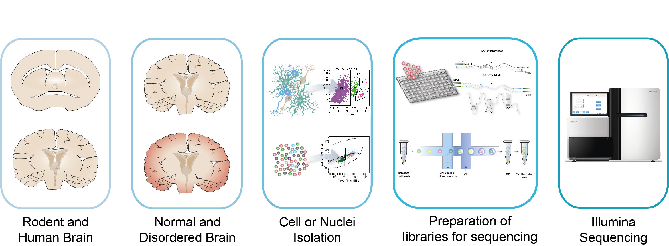 Computational analysis of single cell omics data. For further figure description contact communication@bric.ku.dk